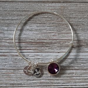 Alex and Ani birthstone bangle February Amethyst